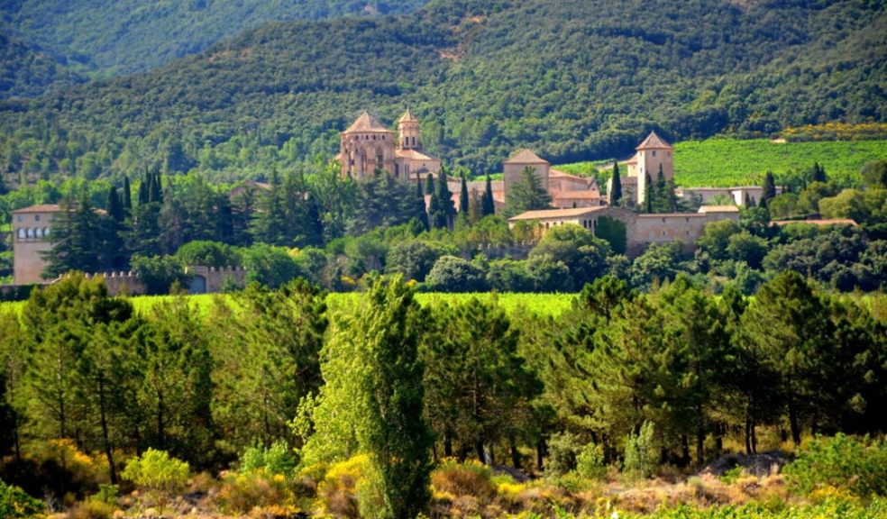 Monestir de Poblet, paisatge, Conca de Barberà (CC BY-SA 2.0) Angela Llop