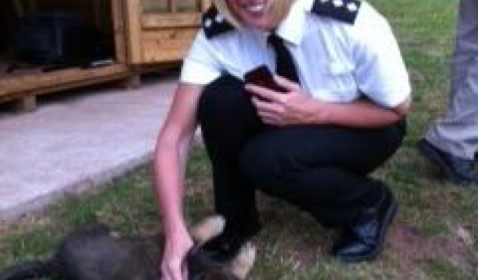 Police puppies meet their new walkers