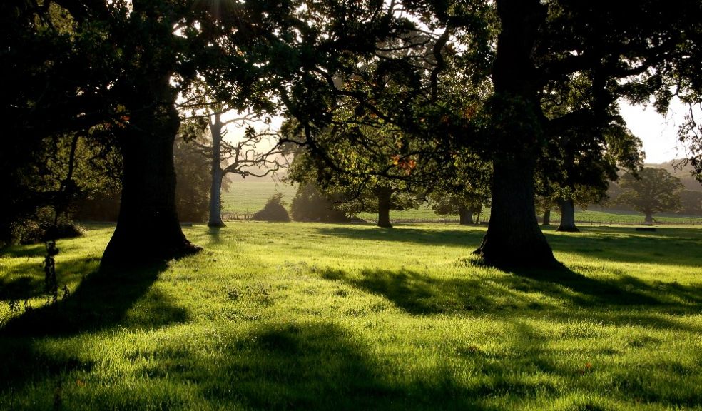 Poltimore Park (c) Simon Bates