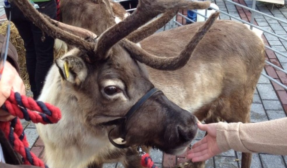 Prancer