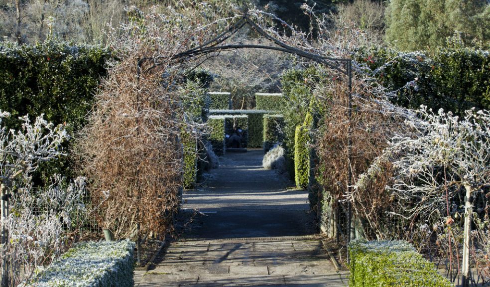 Queen Mother Garden RHS Rosemoor (Photo courtesy of the RHS)