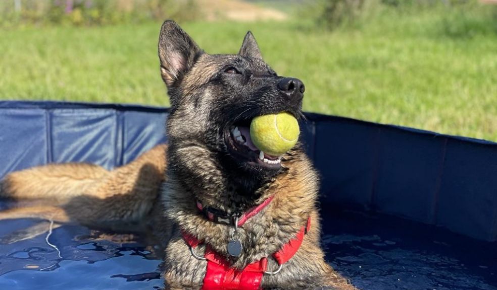 Photo: RSPCA