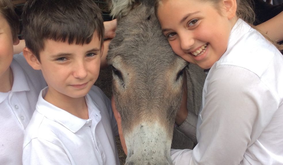 Photo: The Donkey Sanctuary