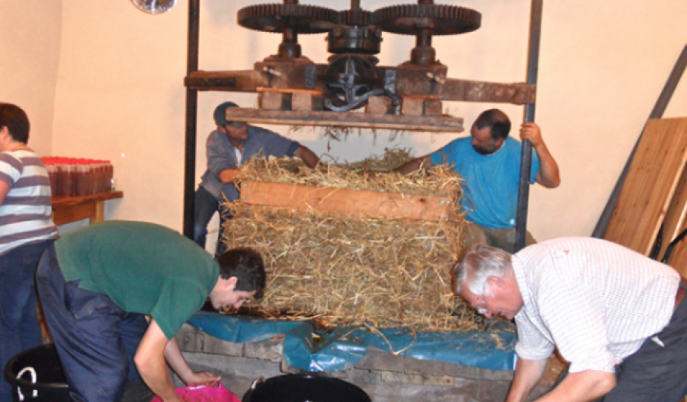 Apple Pressing & Cider Making at Middle Coombe Farm