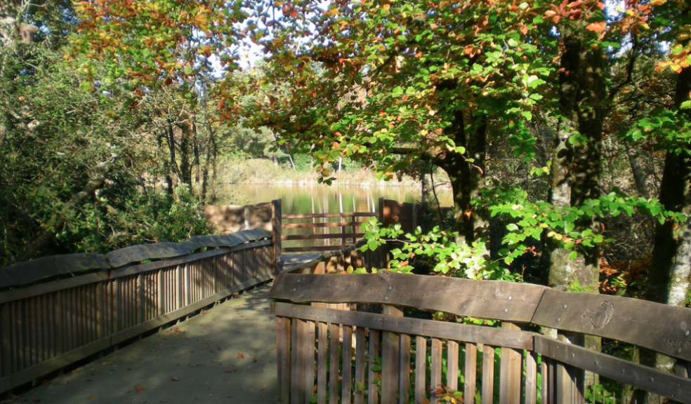 Great Western Canal