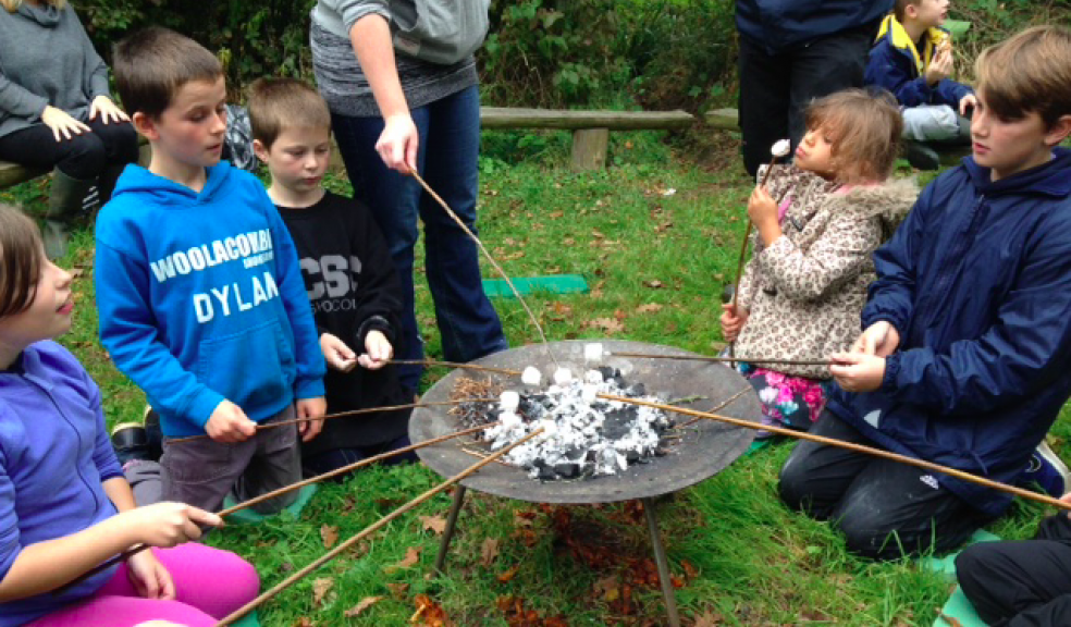 Marshmallow time around the Pit Fire