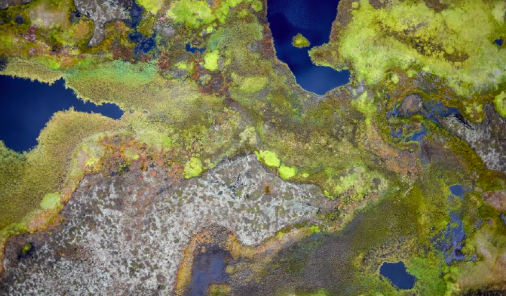 Drone images - thawing permafrost peat plateaus in Northern Norway, Image: Sebastian Westermann