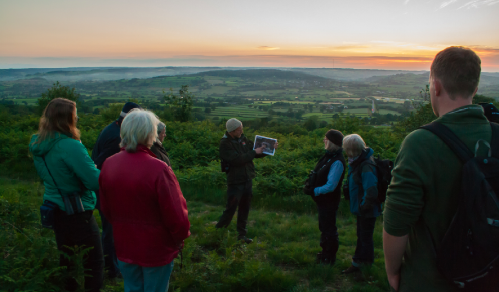 Nightjar Walk, Trinity Hill