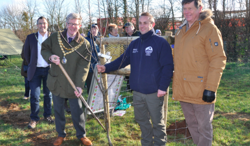 Tree planting Dawlish Countryside Park