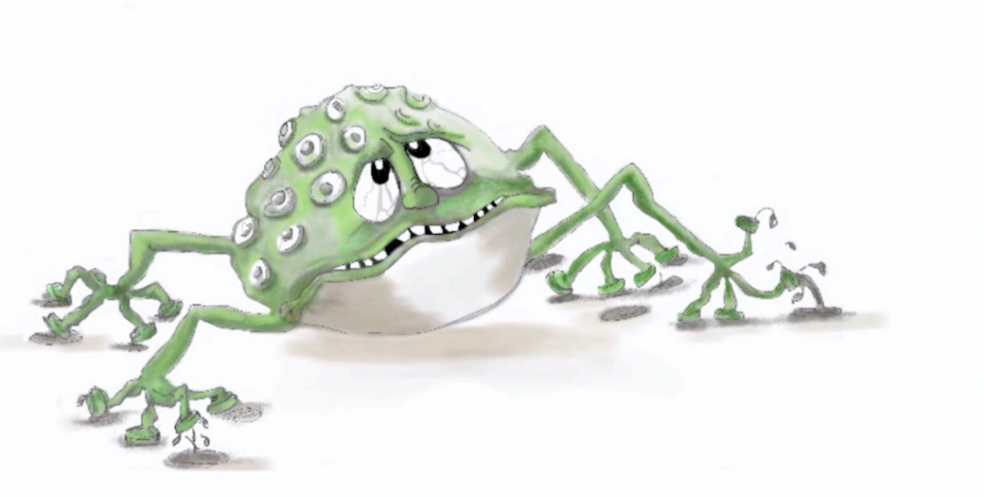 Worry Wart