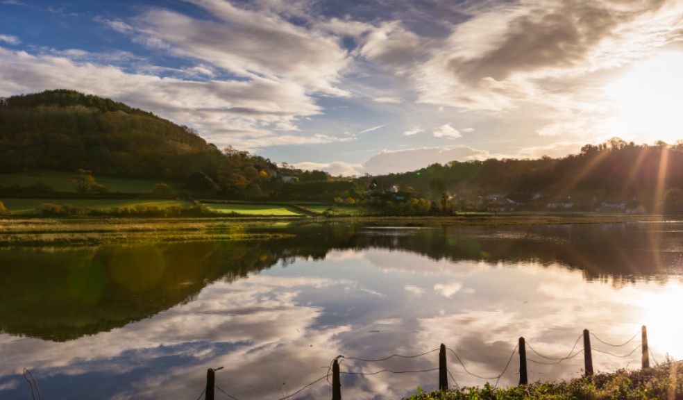 Seaton Wetlands. Image: Matt Willson