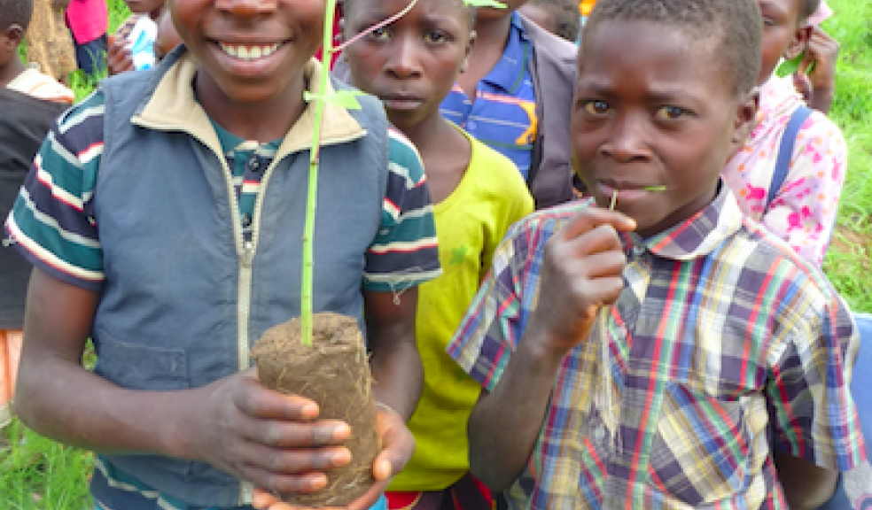 Auto Windscreens Zambia Forest Protection School Orchard