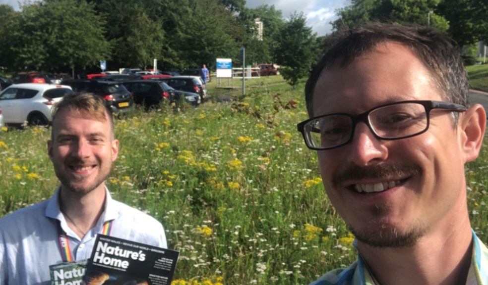 Ollie Mawson the RD&E Sustainability Engagement Officer & Luke Mitchell, RD&E Energy and Sustainability Manager, showing the RD&E Hospital ‘no mow’ verge in full flower, summer 2021.