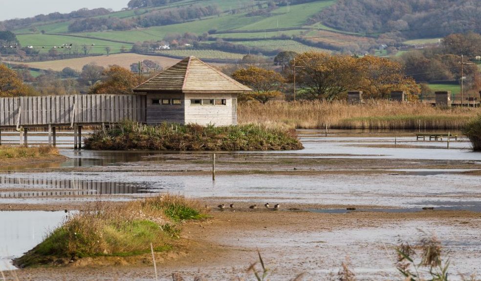 Seaton Wetlands