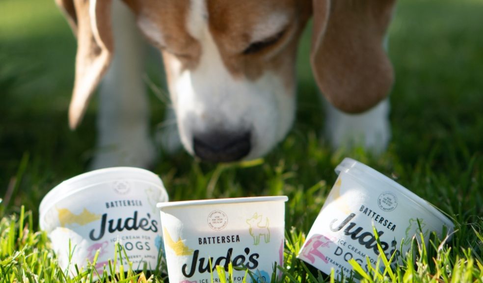 Spoilt for choice of Jude's Dog Ice Cream