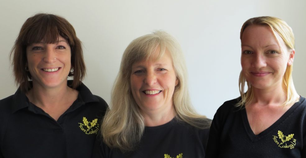 Sarah Lyne, Principal Ecologist at Acorn Ecology Ltd, Guildford Office, Sue Searle, Managing Director and Principal Ecologist Acorn Ecology Ltd Head office, Exeter and Steph Attwood, Principal Ecologist at Acorn Ecology Ltd, Bristol Office