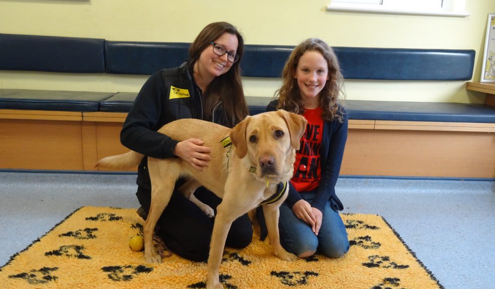 Supporter Relations Officer Amy Bingham with Faith Boxer and Foxy the dog