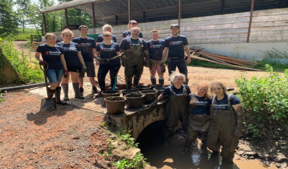  Staff from the Exeter office of Chartered Accountants Simpkins Edwards play a vital role in restoration of the historic Clapperentale Waterwheel,  Tale Valley, East Devon