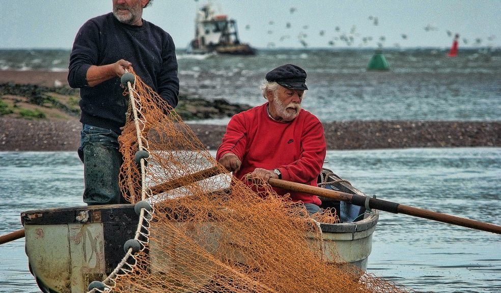 Taste of the Teign