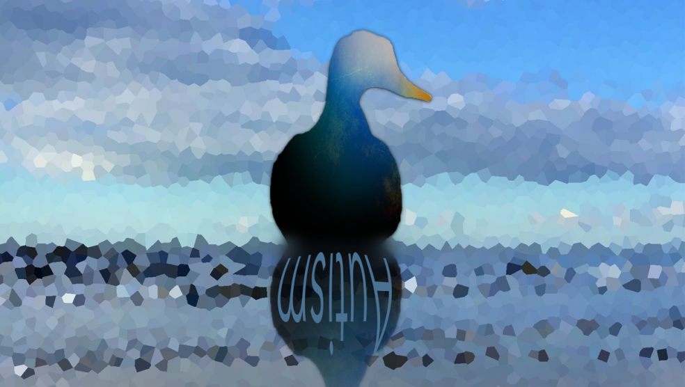 The Duck