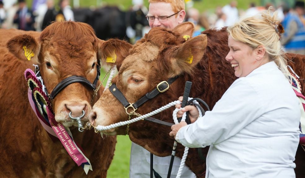 The Grand Parade is one of the most popular features of the annual Devon County Show