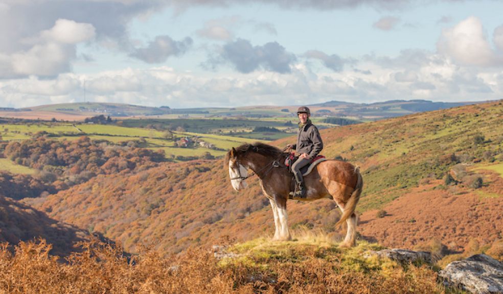 Tim Ancrum of Adventure Clyesdales