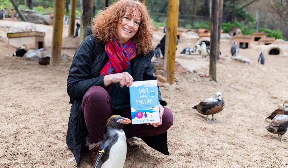 Torquay penguins inspire novel