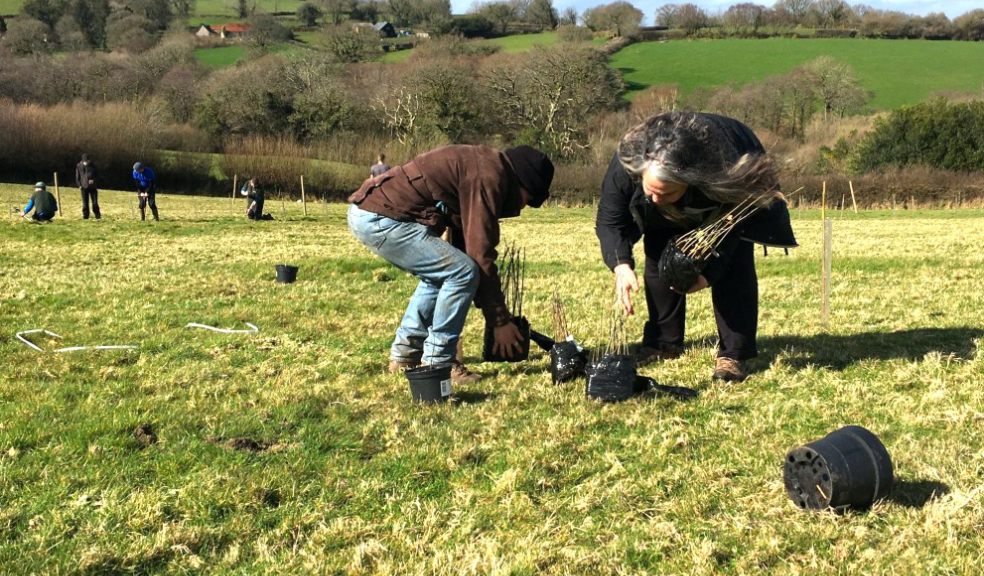 Tree Planting organised by Running Deer CIC