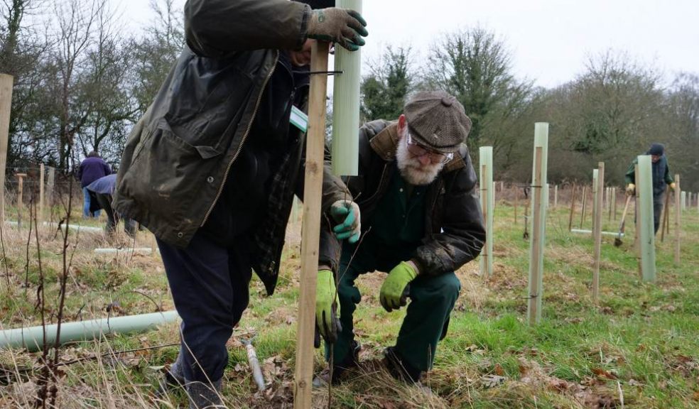 Tree planting. Photo: Catherine Hadler