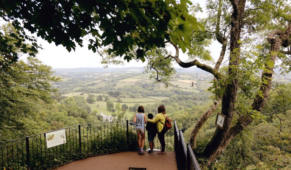 Panoramic views of the Devon countryside from Buzzards View