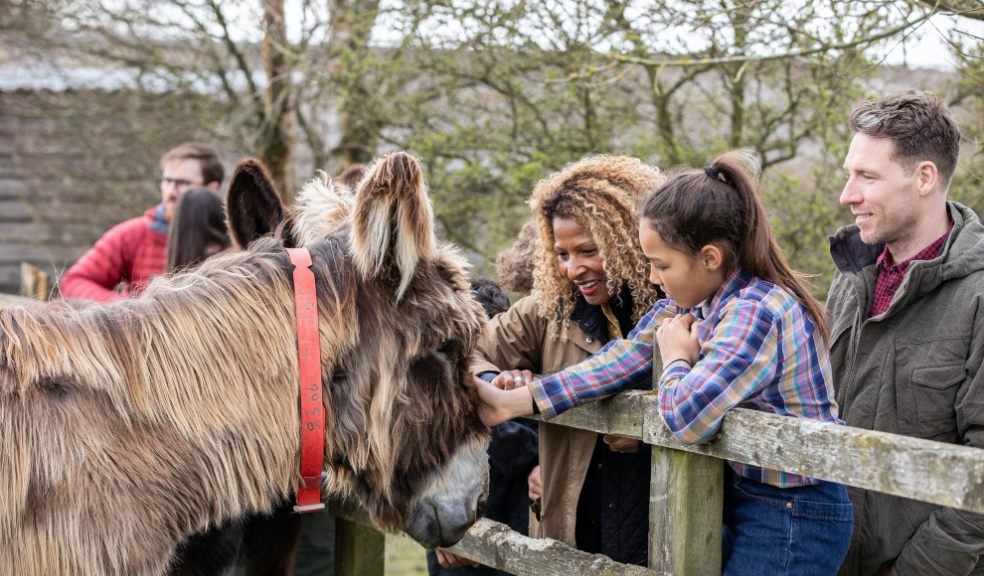 Visitors at The Donkey Sanctuary, Sidmouth Mother and daughter touching donkey