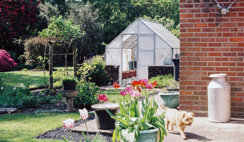 How to take your gardening to the next level How to take your gardening to the next level