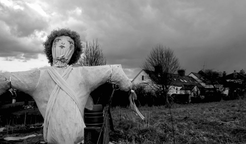 Michael Carter SWAc, Scarecrow
