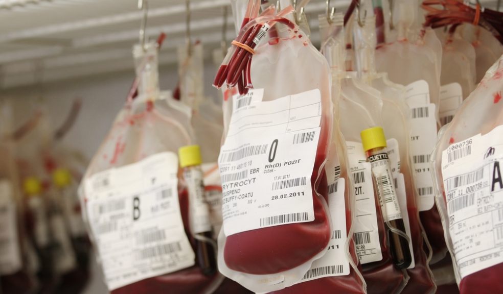 A shortage of male bone marrow donors is putting blood cancer patients at risk