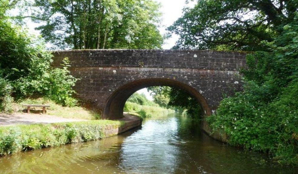 Great Western Canal. © Copyright Christine Johnstone and licensed for reuse under the Creative Commons Licence.