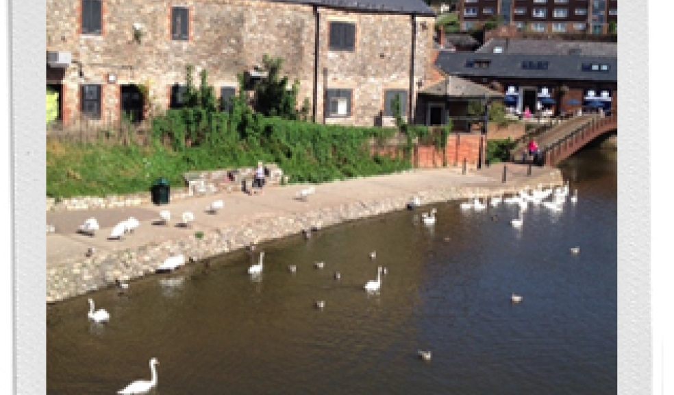 Exeter’s historic waterside wine cellars to become new micro brewery