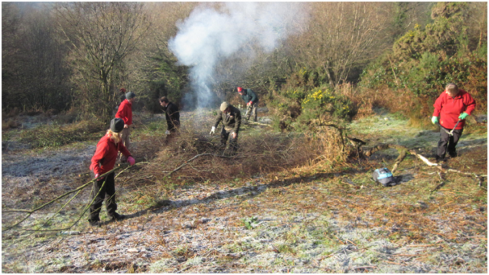 Volunteers clearing branches and stems at Knapp Copse