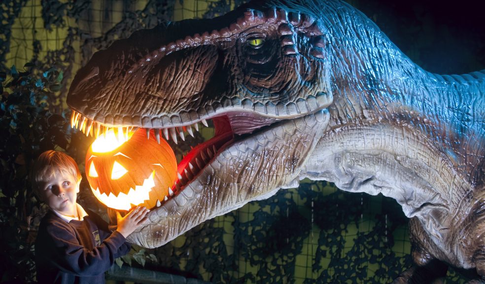 Halloween Half Term fun at Devon’s Crealy Great Adventure Park