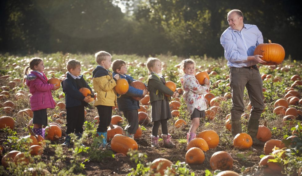 Chris Down Manager Director of Devon's Crealy, goes pumpkin picking with Clyst St Mary Primary School