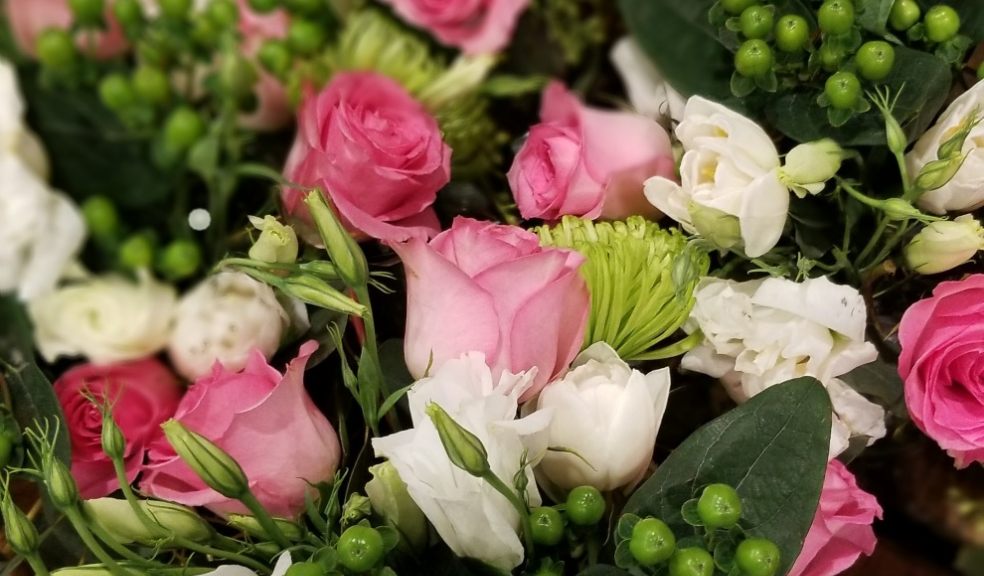 Flowers & Plants Co. Fresh flowers delivered nationwide