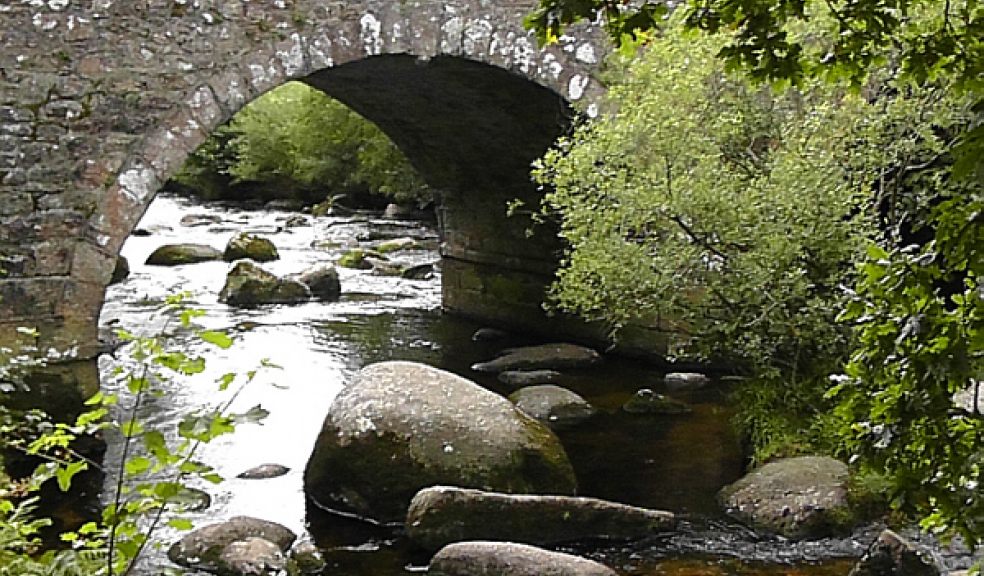 Bridge at Dartmeet