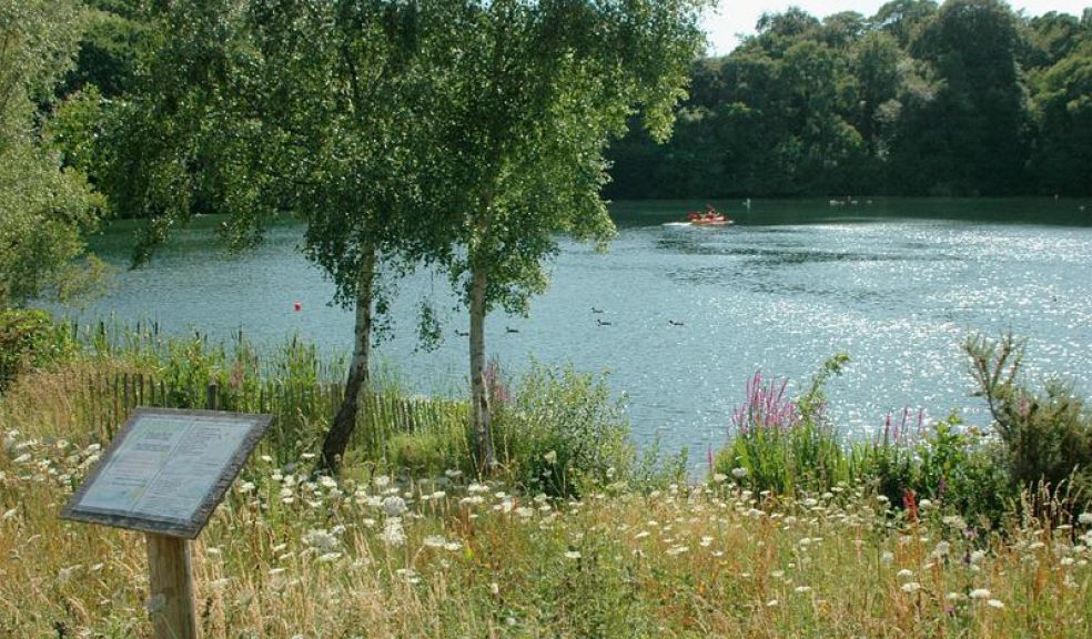 Decoy Country Park