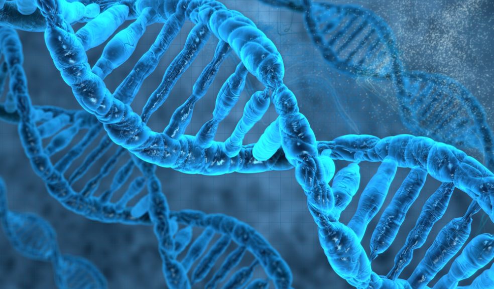 DNA