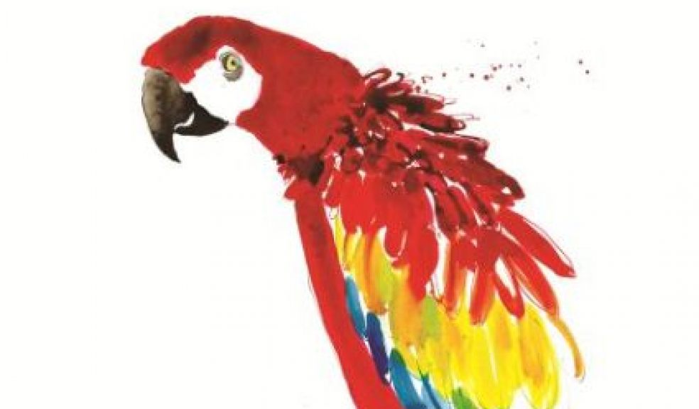 Parrott by Becky Brown