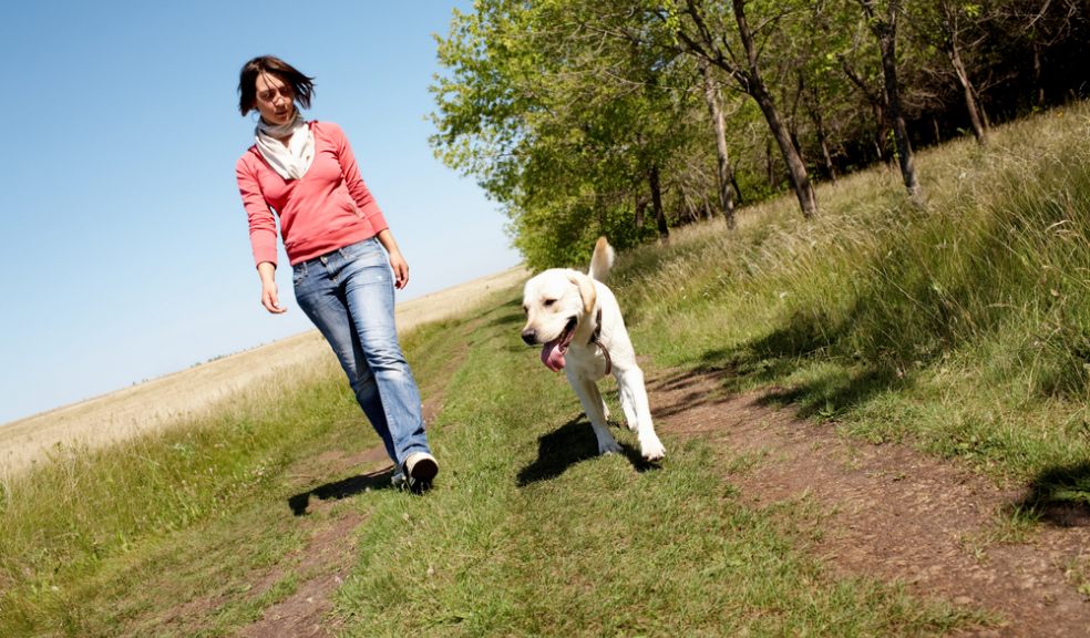 Dog owners encouraged to ‘paws’ for thought when walking in the countryside