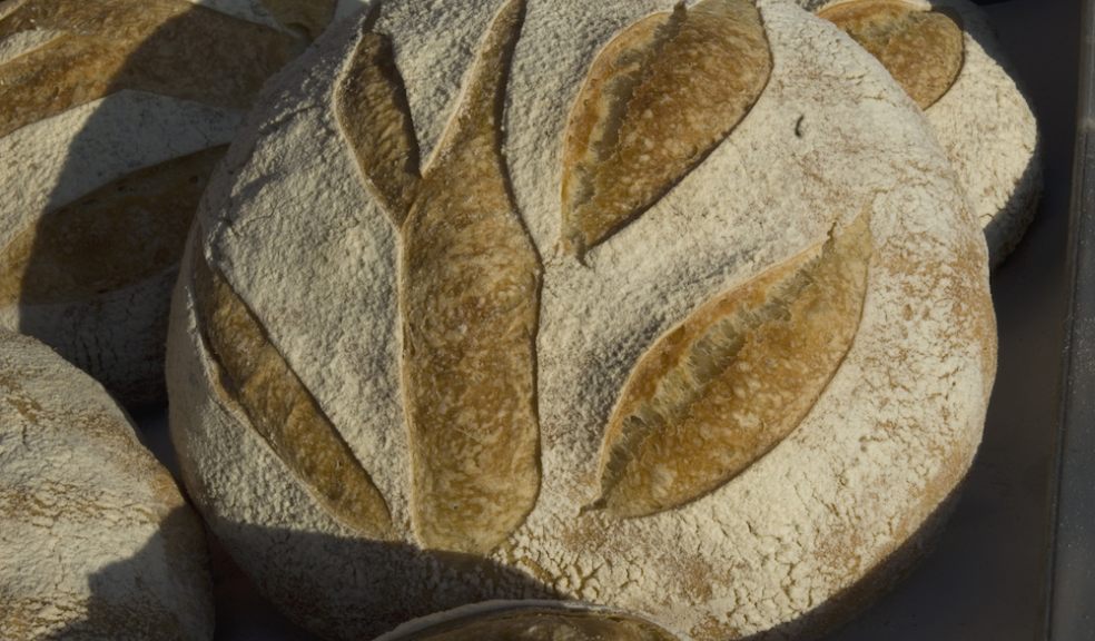 Sourdough from Emma's Bread