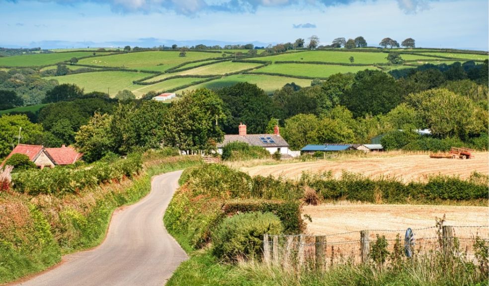 Exeter Business Exeter Business