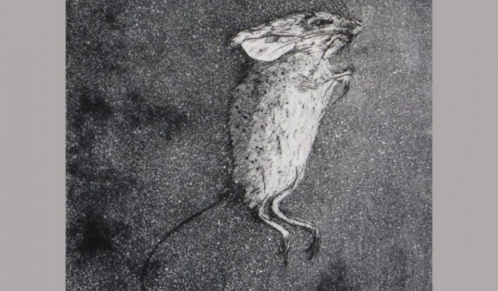 Field Mouse from Look What the Cat Brought In! by Jude Freeman