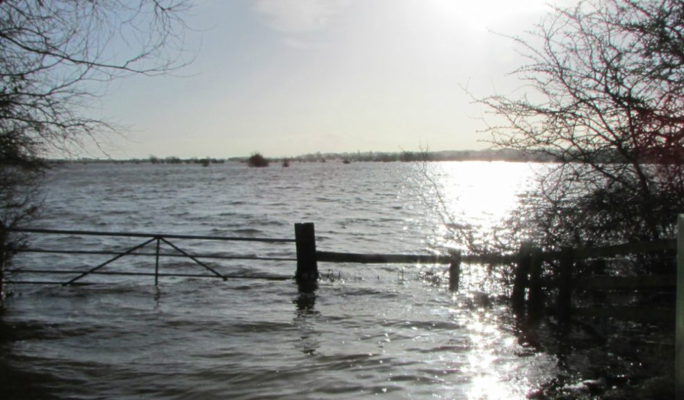 Flooded farmlanfd in the Somerset Levels- Picture courtest of Somerset Council