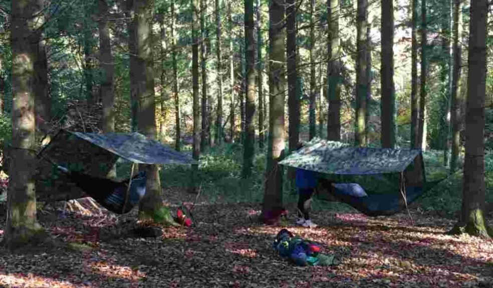 Torlands Forest School 